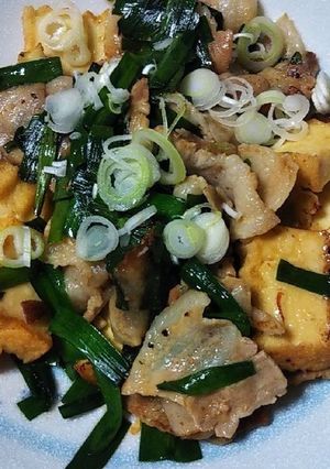 豚バラ肉と生揚げ炒め-レシピのメイン写真