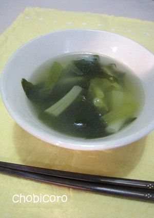 ネギ塩*わかめスープ-レシピのメイン写真