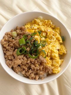そぼろ丼-レシピのメイン写真