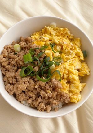 そぼろ丼-レシピのメイン写真