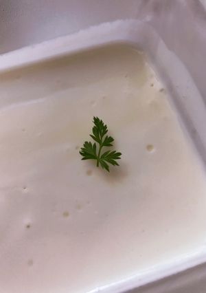 ヨーグルトケーキ-レシピのメイン写真