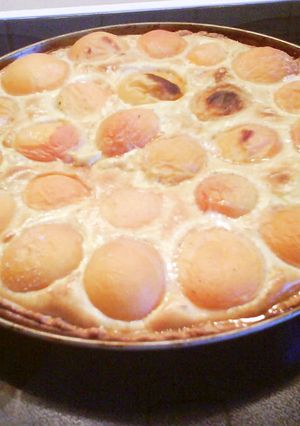 アプリコットケーキ*パイ-レシピのメイン写真