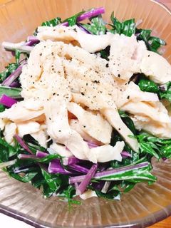 簡単♪赤みず菜のサラダ-レシピのメイン写真