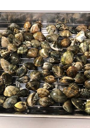 あさりの砂抜き 簡単でもジャリっとしない-レシピのメイン写真