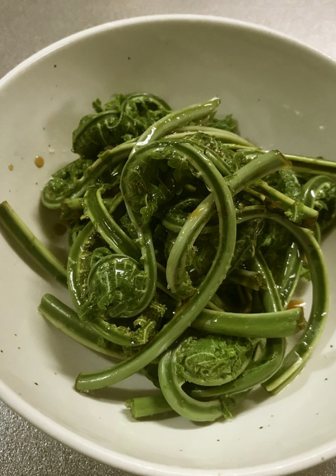 こごみ中華風おひたし めんつゆごま油-レシピのメイン写真