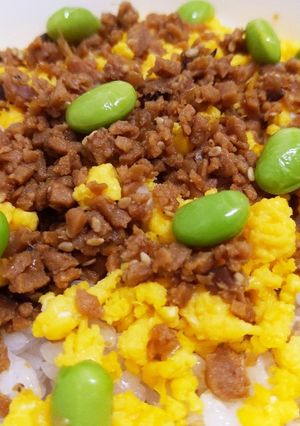 高野豆腐の味噌そぼろで☆ちらし寿司-レシピのメイン写真
