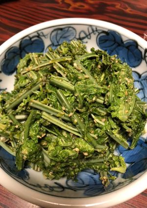 こごみの酢味噌和え-レシピのメイン写真