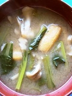 まいたけと小松菜の味噌汁-レシピのメイン写真