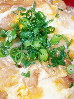 材料は卵と天かすだけ*玉子丼-レシピのメイン写真