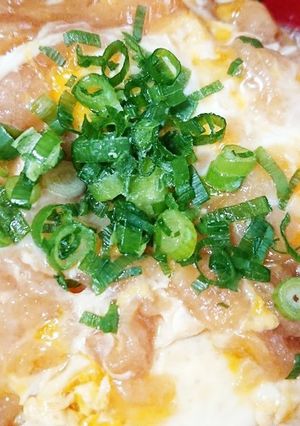 材料は卵と天かすだけ*玉子丼-レシピのメイン写真