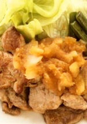 豚ひれ肉おろし玉ねぎソースかけ-レシピのメイン写真