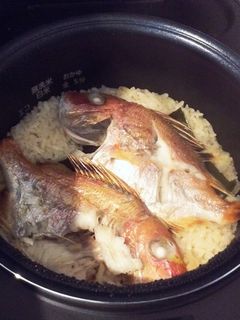 鯛めし-レシピのメイン写真