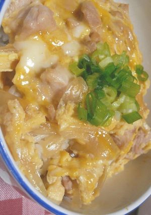 ✿とろとろふんわ～り親子丼✿-レシピのメイン写真