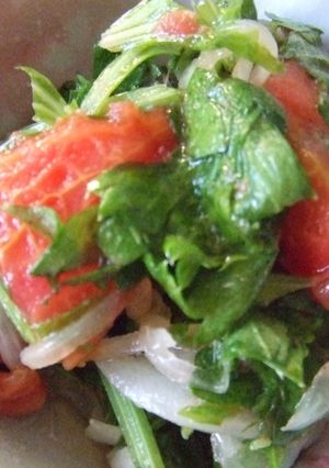 トマトとセロリのマリネ-レシピのメイン写真