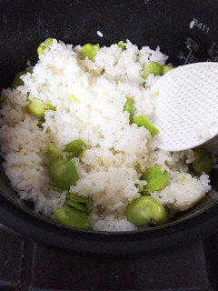 空豆ご飯-レシピのメイン写真