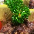 お年寄り絶讚シリーズ❗鶏レバー❗