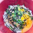 おうちにある薬味で簡単ネバネバ丼♡