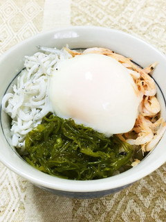 のせるだけ簡単三色丼-レシピのメイン写真