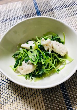 豆苗とささみの塩にんにく炒め-レシピのメイン写真