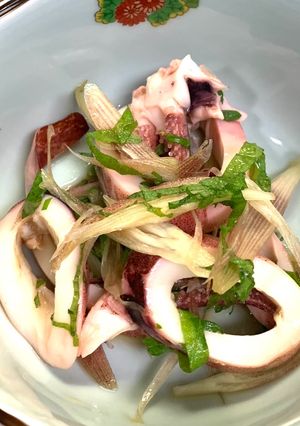 ボイルイカと薬味の和物 おつまみにもなりますよ!-レシピのメイン写真