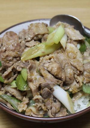 春のねぎ入りしょうが焼き-レシピのメイン写真