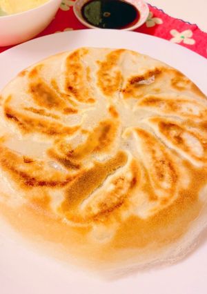 羽根つき餃子-レシピのメイン写真