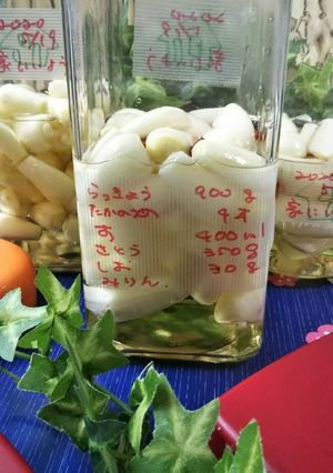 鹿児島県産の大きい【辣韮の酢漬け】-レシピのメイン写真
