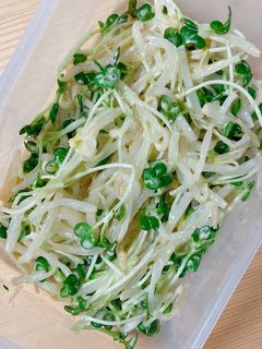 もやしとカイワレ大根のマヨポン和え-レシピのメイン写真
