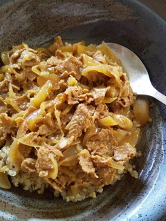ヴィーガン牛丼-レシピのメイン写真