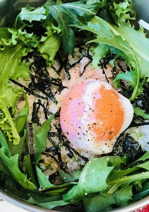丼弁当●タラコチャーハン丼-レシピのメイン写真