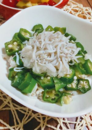 簡単美味しい手間いらず オクラおろしご飯-レシピのメイン写真