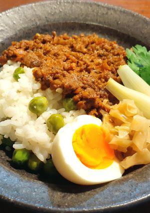 スパイスドライカレー-レシピのメイン写真