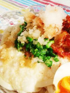 栄養満点♪乗せ乗せ、サラダうどん-レシピのメイン写真