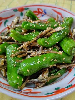 しし唐辛子と煮干しの甘辛炒め-レシピのメイン写真