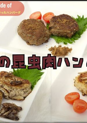 【昆虫食】3種の昆虫肉ハンバーグ-レシピのメイン写真