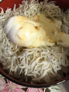 しらす丼-レシピのメイン写真