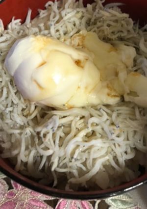 しらす丼-レシピのメイン写真