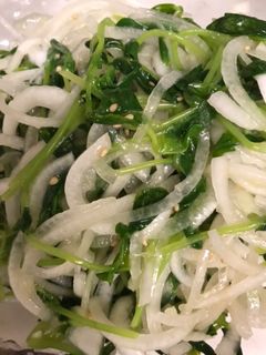 新玉ねぎと豆苗のマリネ-レシピのメイン写真