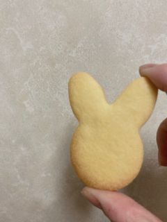 プレーンクッキー-レシピのメイン写真