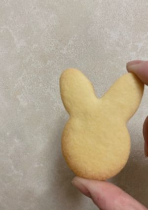 プレーンクッキー-レシピのメイン写真