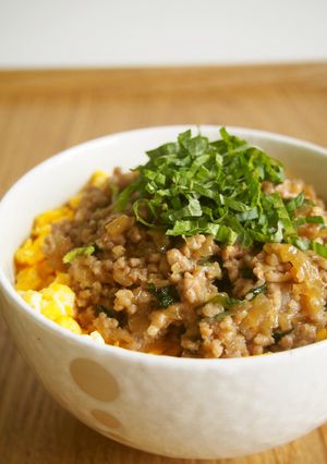 大葉入り！とろとろそぼろ丼♪-レシピのメイン写真