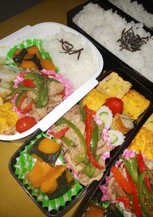 野菜たっぷり男子弁当 2~12-レシピのメイン写真