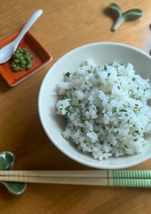 初夏の香り⁑木の芽と山椒のご飯-レシピのメイン写真