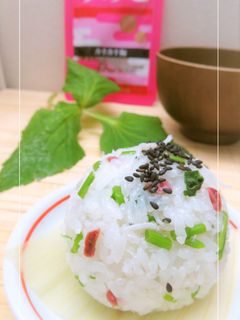 うめこ*しらす*三つ葉のおむすび-レシピのメイン写真