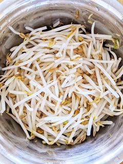 もやしの茹でない茹で方-レシピのメイン写真