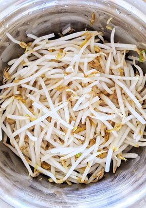 もやしの茹でない茹で方-レシピのメイン写真