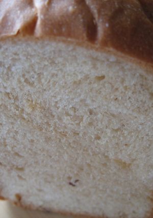 HBで黒糖レーズン食パン-レシピのメイン写真