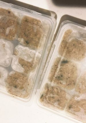 豚肉離乳食長ネギブロッコリー冷凍ストック-レシピのメイン写真