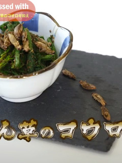 【昆虫食】ほうれん草のコオロギ和え-レシピのメイン写真