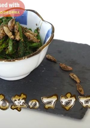 【昆虫食】ほうれん草のコオロギ和え-レシピのメイン写真